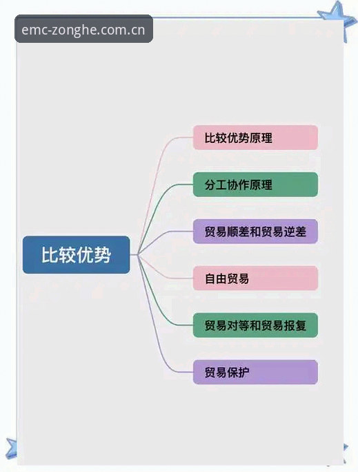 5个关键维度解析EMC易倍体育官方直营平台的核心优势